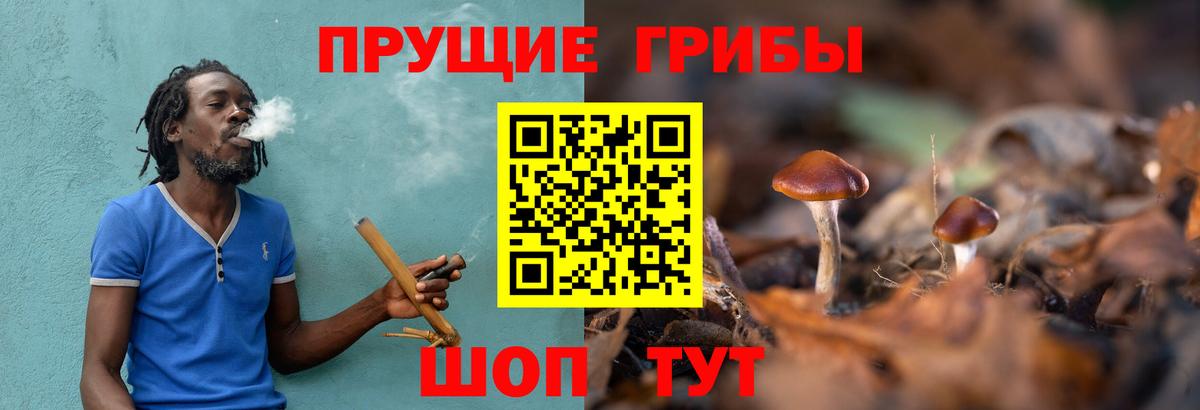где купить   Галлюциногенные грибы мухоморы  Абакан  Вход с VPN  Галлюциногенные грибы мухоморы 